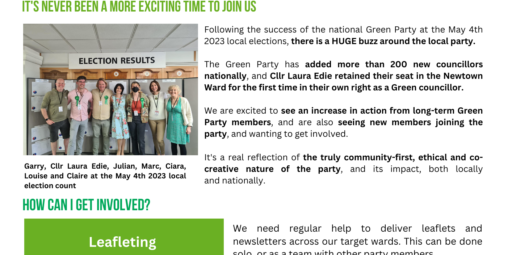 DG Green party Events Roles